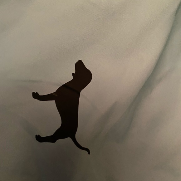 Victoria’s Secret PINK windbreaker - Picture 3 of 3